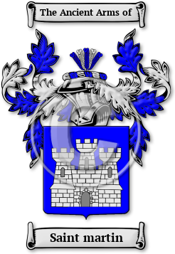 Saint martin Family Crest Download (jpg) Legacy Series - 150 DPI